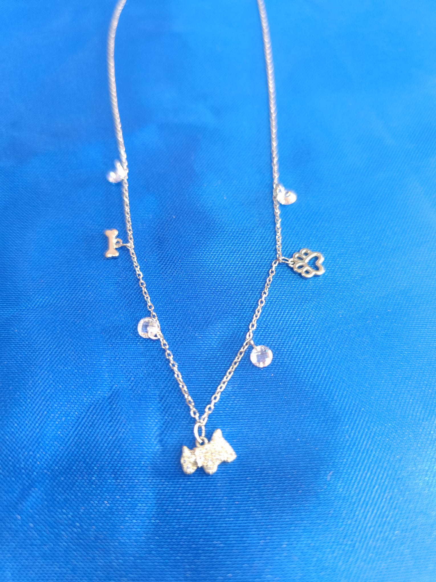 Collar Mascota Plata - Imagen 2